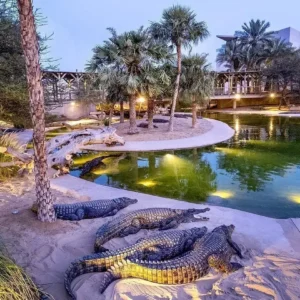 Crocodile Park Dubai