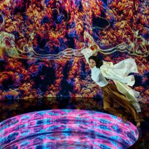 The View At The Palm